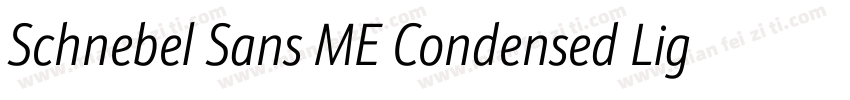 Schnebel Sans ME Condensed Light字体转换